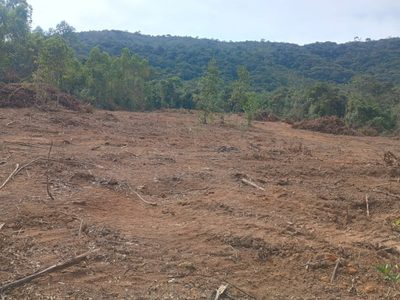 Chácara, 1 quarto - Foto 2