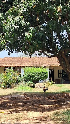 Chácara, 6 quartos, 1000 m² - Foto 1