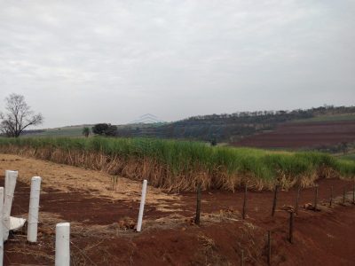 Fazenda - Foto 3