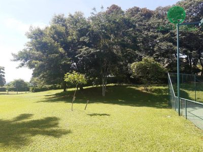 Terreno, 2000 m² - Foto 4