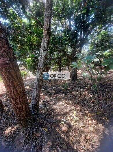 Terreno, 5000 m² - Foto 4