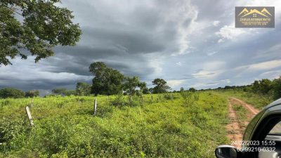 Fazenda - Foto 5
