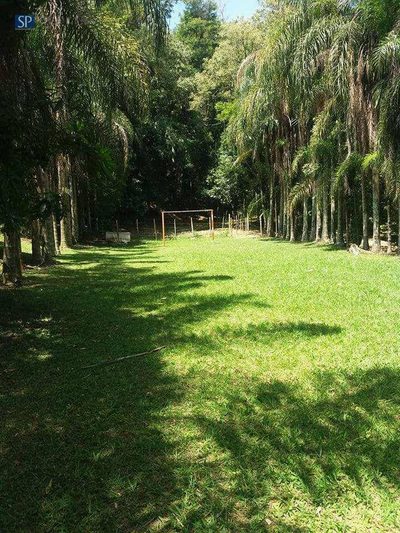 Chácara, 3 quartos, 5000 m² - Foto 2