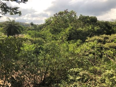 Terreno, 4000 m² - Foto 3
