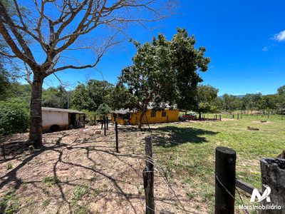Fazenda, 3 quartos - Foto 3