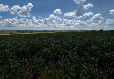 Fazenda - Foto 3