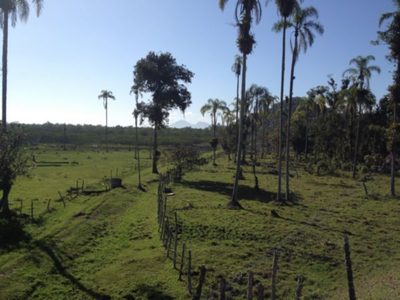 Terreno, 17 hectares - Foto 2