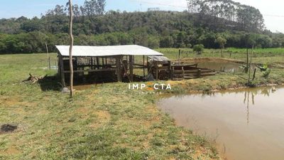 Chácara, 3 quartos, 3 hectares - Foto 2