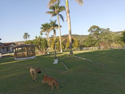 Sítio, 4 quartos, 2 hectares - Foto 4