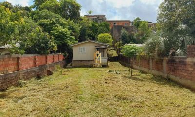 Casa, 2 quartos, 675 m² - Foto 5