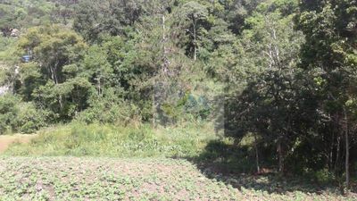 Terreno, 7200 m² - Foto 5