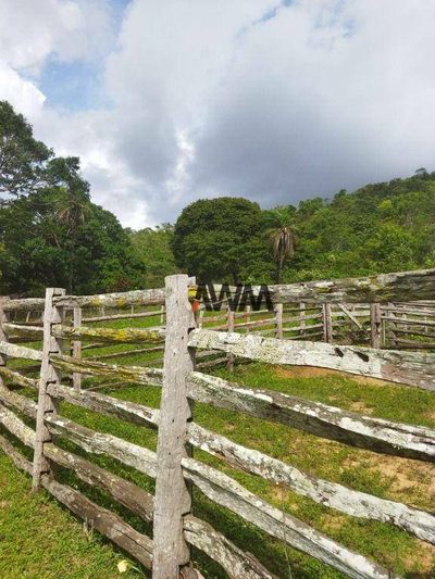 Fazenda, 697 hectares - Foto 3