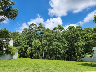 Terreno, 590 m² - Foto 4