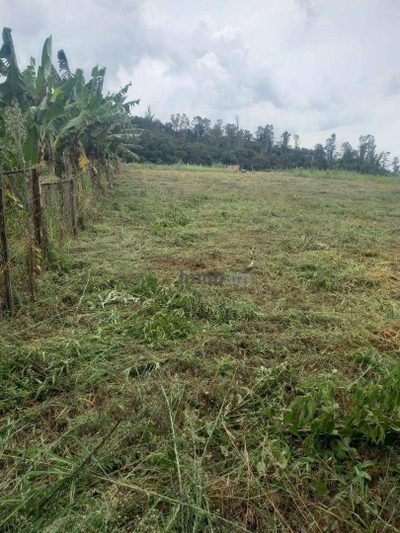 Terreno, 1000 m² - Foto 5