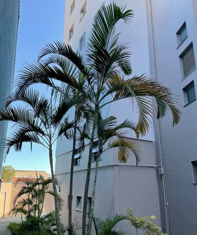 Apartamento, 2 quartos, 50 m² - Foto 3