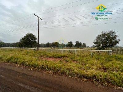 Chácara, 4 quartos - Foto 4