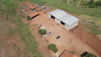 Fazenda, 282 hectares - Foto 2