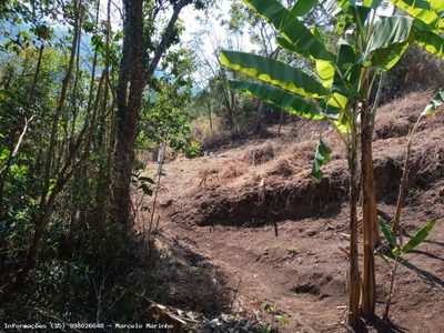 Terreno, 2 hectares - Foto 2