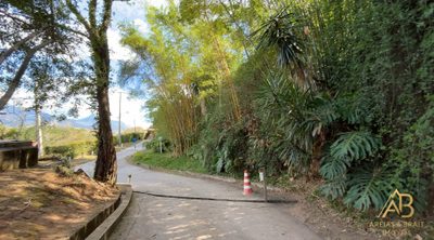 Terreno, 2527 m² - Foto 5