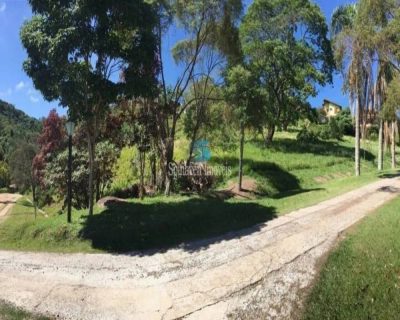 Terreno - Foto 4