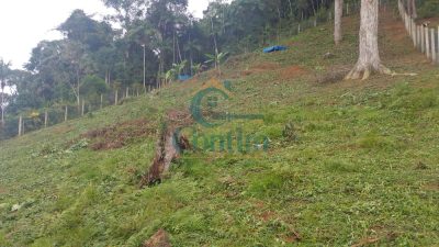 Terreno, 1650 m² - Foto 4