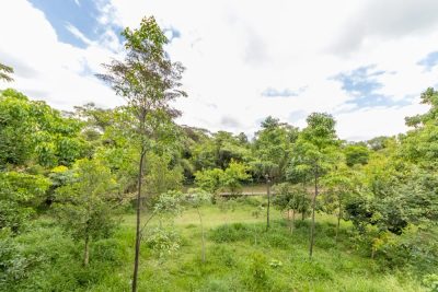 Sobrado, 3 quartos, 247 m² - Foto 3