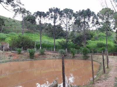 Sítio, 2 quartos, 150 m² - Foto 1