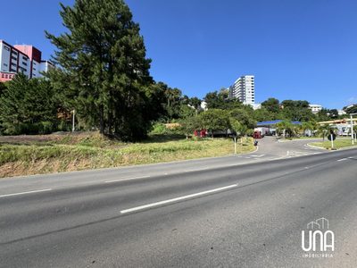 Terreno, 1766 m² - Foto 4