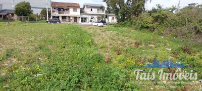 Terreno - Foto 4