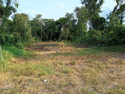 Terreno, 480 m² - Foto 3