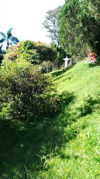 Chácara, 4 quartos, 5300 m² - Foto 4