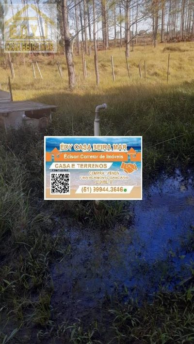 Terreno, 1000 m² - Foto 4