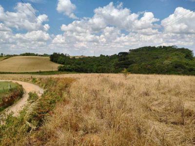Terreno, 3 hectares - Foto 4