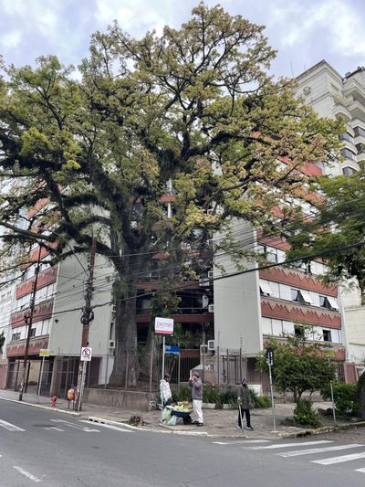 Apartamento, 3 quartos, 142 m² - Foto 2
