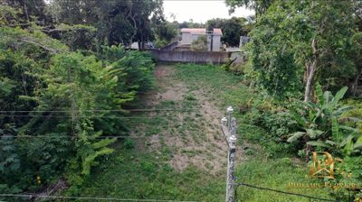 Terreno, 1000 m² - Foto 1