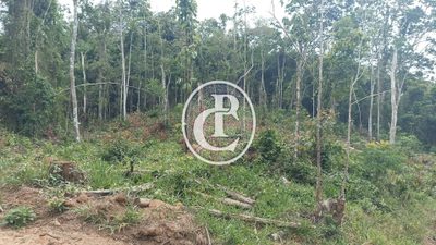 Terreno, 2 hectares - Foto 3