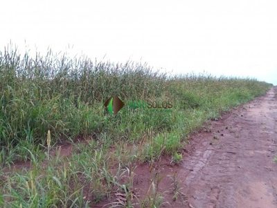 Terreno, 2950 m² - Foto 3