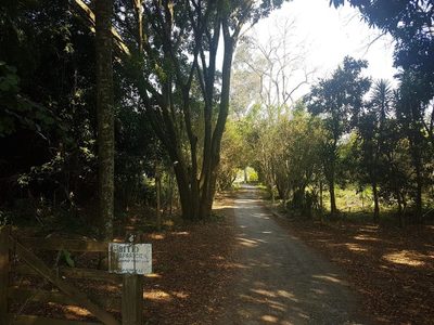 Terreno, 2 hectares - Foto 1