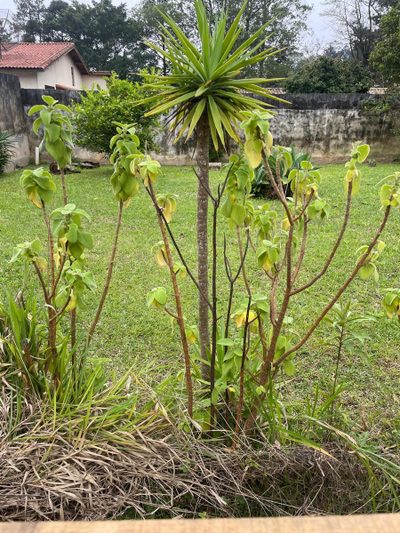 Terreno, 360 m² - Foto 4