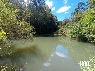 Chácara, 2 hectares - Foto 3