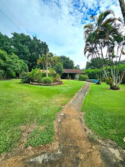 Chácara, 4 quartos, 1800 m² - Foto 2