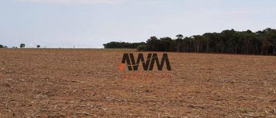 Fazenda, 39 hectares - Foto 1