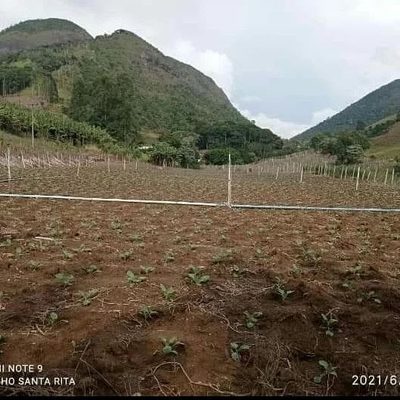 Sítio, 10000 m² - Foto 4