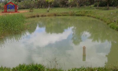 Sítio, 3 quartos - Foto 2