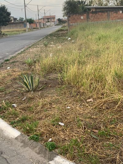 Terreno, 250 m² - Foto 5