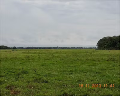 Fazenda, 3 hectares - Foto 4