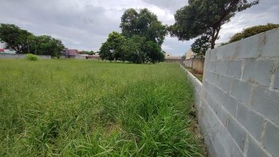 Terreno, 4600 m² - Foto 5