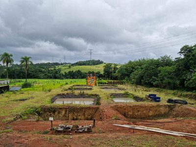 Sítio, 2 quartos, 7 hectares - Foto 4