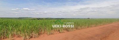Fazenda, 702 hectares - Foto 2