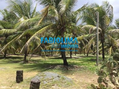 Terreno, 2 hectares - Foto 3